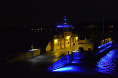 Blau2013