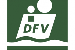 logo_DFV